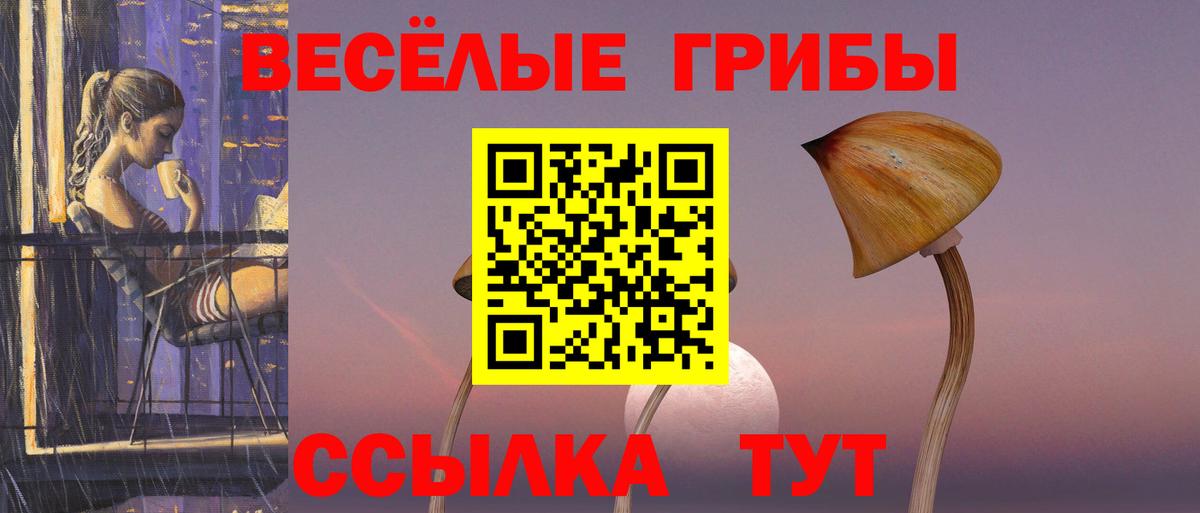 Псилоцибиновые грибы MAGIC MUSHROOMS  Вход с VPN  Борисоглебск 